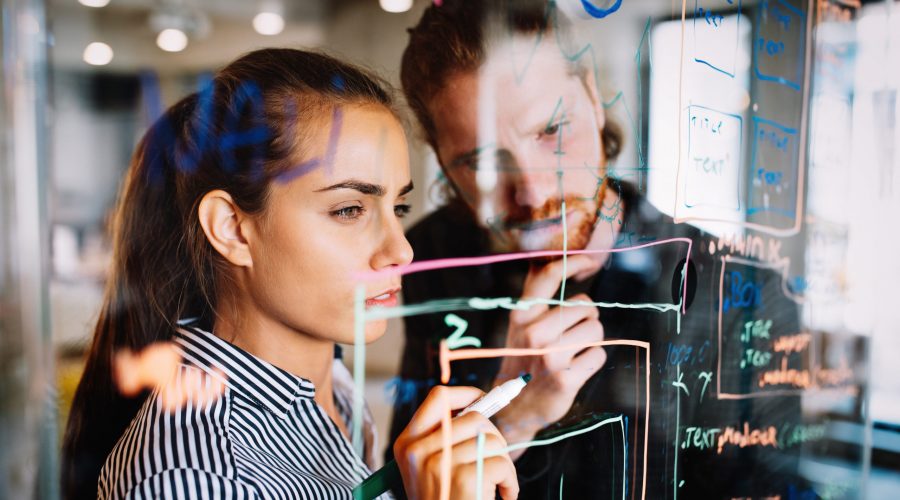 Programmer people working in a software developing company